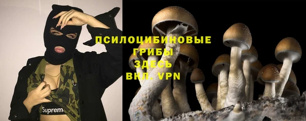 кокаин премиум Алексеевка