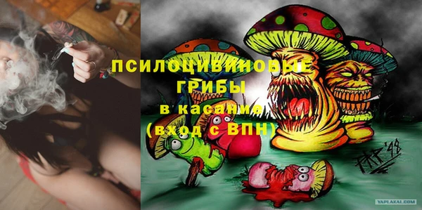 синтетический гашиш Алексин