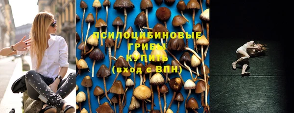 героин Алзамай