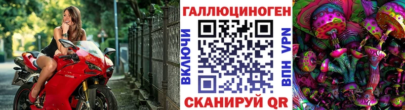 дарнет шоп  МЕГА как войти  Псилоцибиновые грибы Magic Shrooms  Зеленокумск 