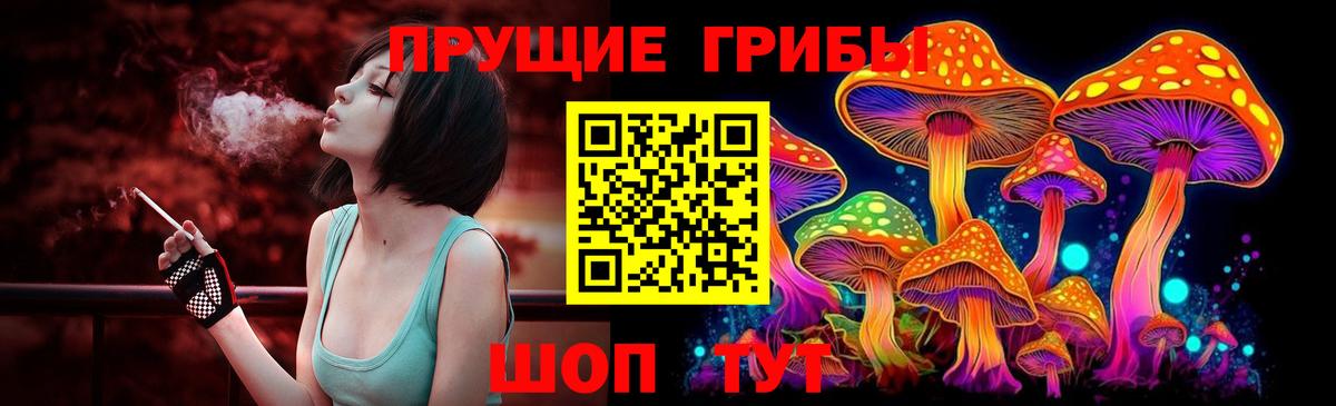 Галлюциногенные грибы прущие грибы  Галлюциногенные грибы мухоморы  Вход с VPN  Зеленокумск 